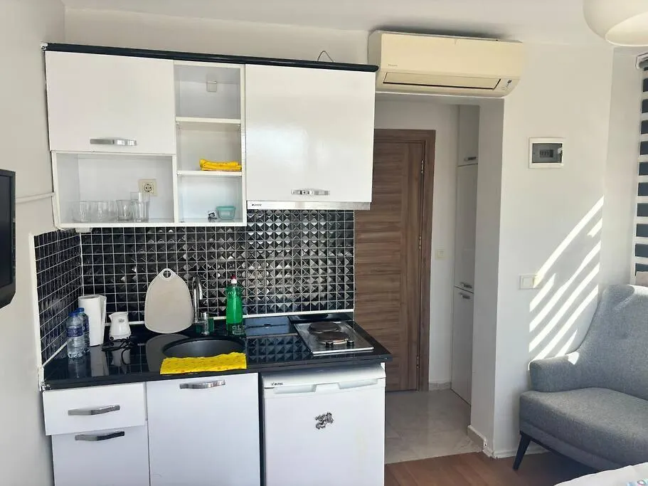 Sunny Terrace Retreat Near Taksim Square Apartment Istanbul Turcia